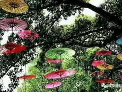 -顺鑫绿色度假村