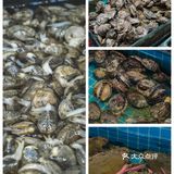 【食】龙虾鲍鱼盛宴，人均不到100？