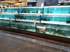 -盒马X会员店(王府井奥莱UP TOWN店)