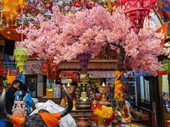 -吉祥圣雪藏餐
