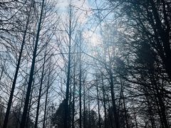 -贵阳市花溪国家城市湿地公园