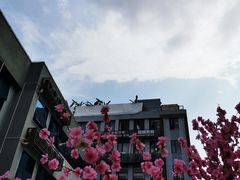 -天空花园餐吧·生日·团建(南山店)