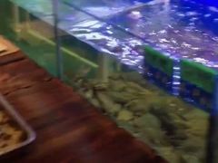 -启东小海鲜(庄先湾路1号店)