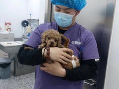 -萌兽医馆·绝育·24小时内科·宠物医院(德胜店)