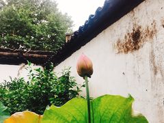 -院子餐厅·大锅菜·老杭帮(桥西直街店)