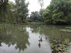 -洛阳市隋唐城遗址植物园