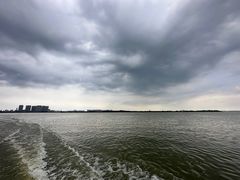 -瑶湖郊野森林公园
