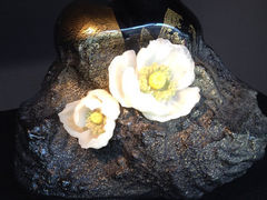 iphone_upload_pic-上海琉璃艺术博物馆