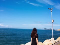 -广东惠东海龟国家级自然保护区