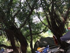 -云洞岩风景区