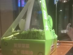 -海底捞火锅(长沙华创国际广场店)