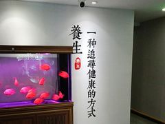 -金蚁康•经络调理•肩颈按摩(万达金街店)