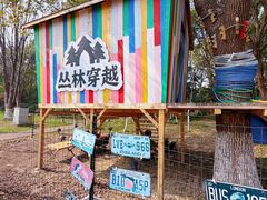 -金鸡湖桃花岛