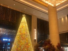 -长沙富力万达文华酒店