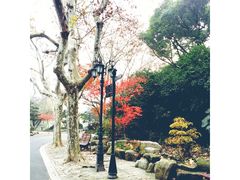 -鲁迅公园