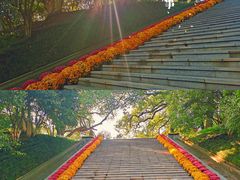 -菊花台公园