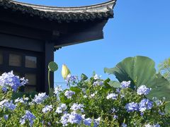 -南北湖风景区