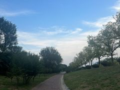 -白水寺森林公园