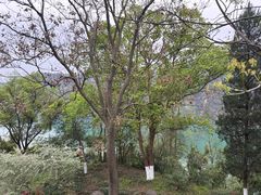 -三游洞