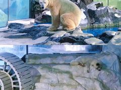 -珠海长隆海洋王国