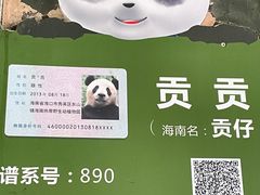 -海南热带野生动植物园