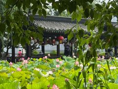 -丝绸小镇荻港古村