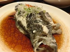 葱丝鼓油蒸鲜活珍珠斑-环球港凯悦 · 享悦中餐厅