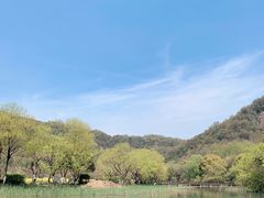 -八卦田遗址公园