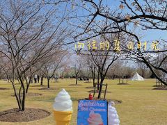 -上海辰山植物园