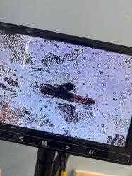 -Cream88颜皮肤管理中心