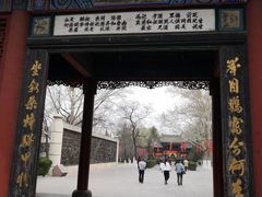-大槐树寻根祭祖园