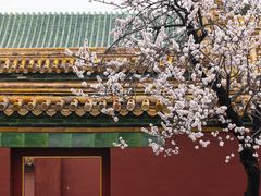 -故宫博物院(故宫)