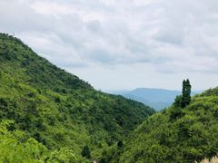 -军营村
