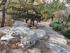 -燕郊植物园