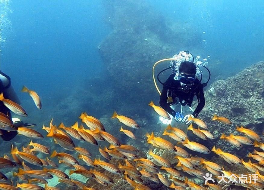 最受欢迎的潜水运动
