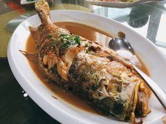 海鲈鱼-宝源大酒店(胶州海鲜街店)