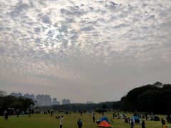 -昆山城市生态森林公园