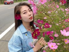 -莲花山花海