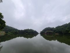 -广州市石门国家森林公园