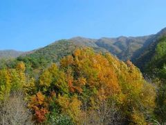 -王顺山国家森林公园