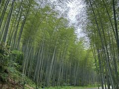 -黄公望隐居地