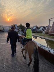 -小蜜蜂农场(凯德七宝购物广场店)