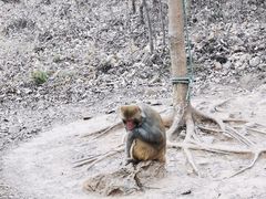 -南京金牛湖风景区