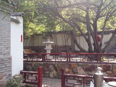 院子-老张烤羊(王哥庄店)