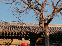 -乔家大院文化园区