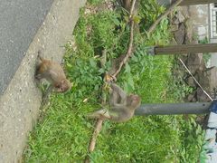 android_upload_pic-安吉龙王山峡谷漂流