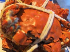 -乡乐园蟹庄·阳澄湖农家乐