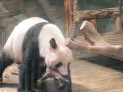 -深圳野生动物园