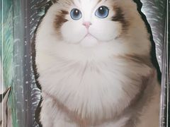 -猫腻·猫咖·撸猫馆(星光大道店)