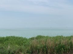 -合肥滨湖国家森林公园